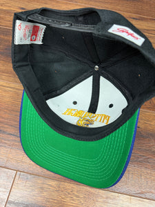 Pitt Panthers Hat Vintage SnapBack Pittsburgh College